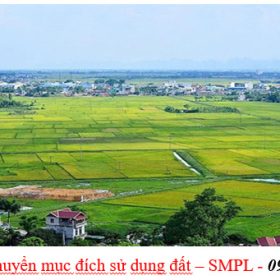 Thủ tục chuyển mục đích sử dụng đất tại vĩnh thanh, nhơn trạch